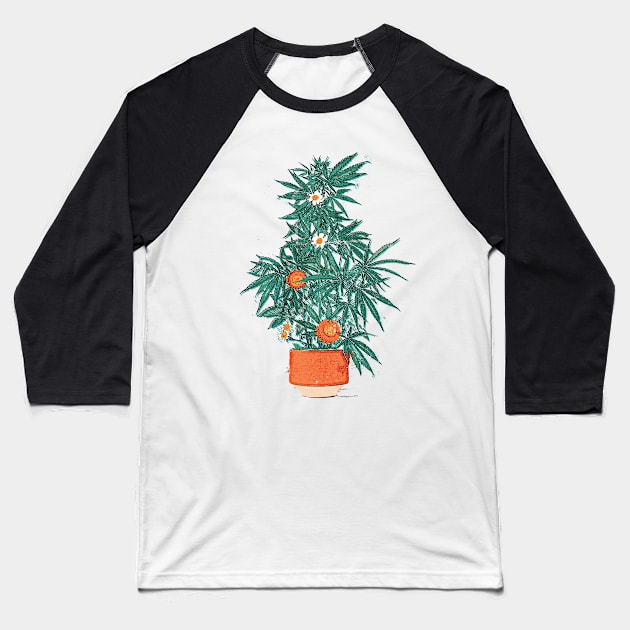 grow your own Baseball T-Shirt by colouroutofspaceworkshop